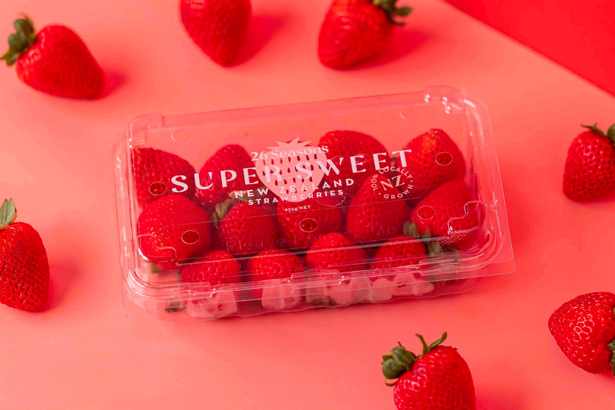 Invest in 26 Seasons Snowball Effect