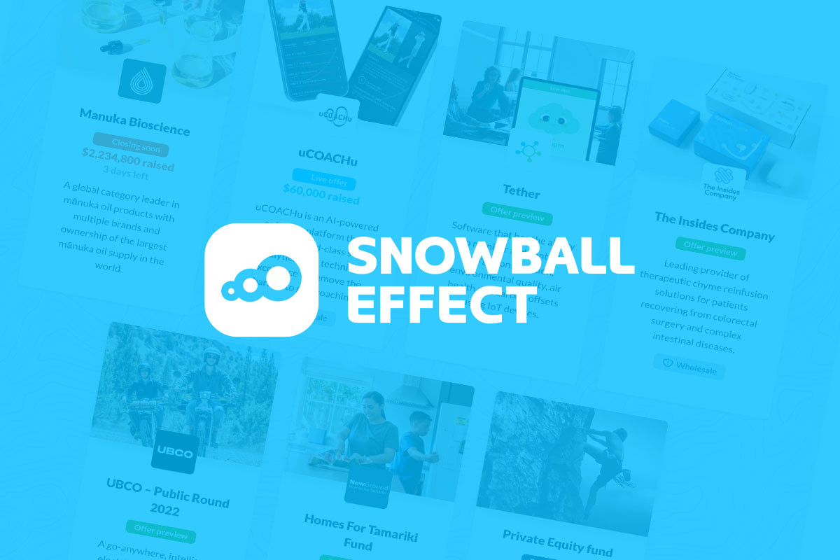 Invest in Snowball Effect Snowball Effect